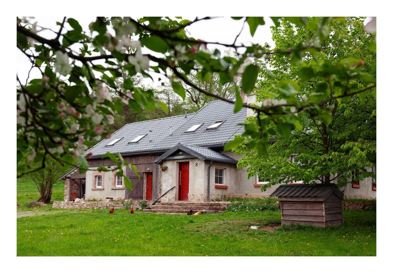Kozy I Roze Villa Oldrzychowice Klodzkie Exterior photo